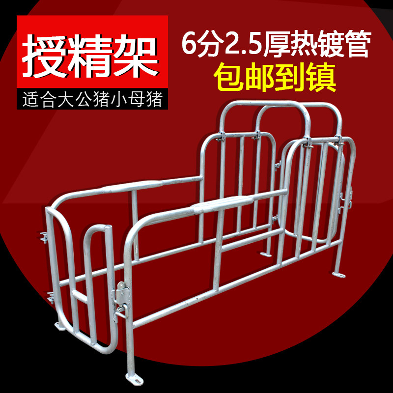 小母猪配种架配猪用采精支架公猪配猪夹设备配种栏受精器猪场采精
