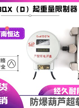 BQX(D)防爆起重量限制器2T3T5T10T16T防爆行车电动葫芦超载限制器