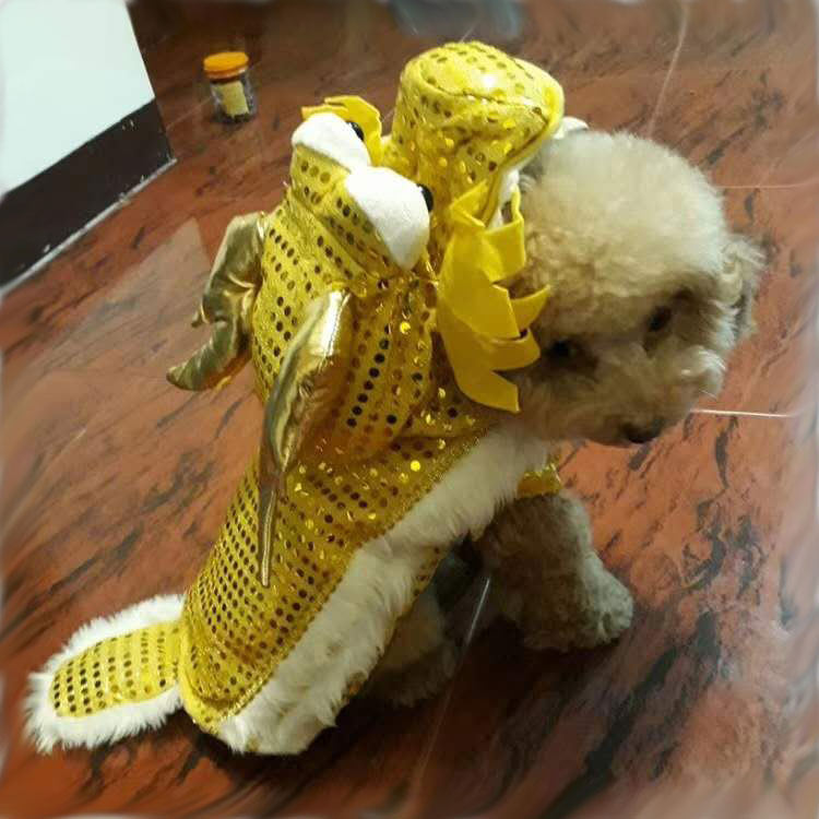 喜庆年兽衣服狗狗舞龙狮衣服新年泰迪狗狗过年衣服猫咪唐装金色