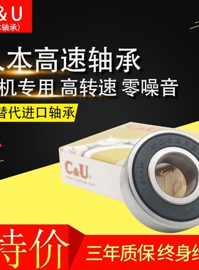 人本轴承C&U 6016 6017 6018 6019 6020 6021 6022 6024  RZ RS Z