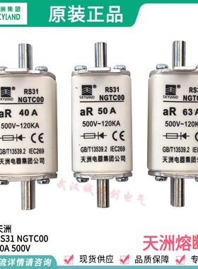RS31 NGTC00 40A 500V 50A 63A 80A 100A天洲电器集团公司 熔断器