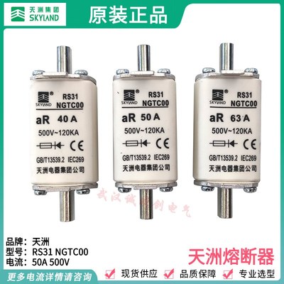 RS31 NGTC00 40A 500V 50A 63A 80A 100A天洲电器集团公司 熔断器