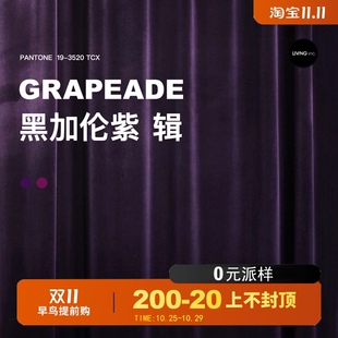 2021新款 LIVING 深紫系列 轻奢丝绒窗帘 客厅卧室遮光窗帘布 inc.