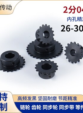 2分04C26 27 28 29 30T链轮25H链条SP25B12内孔8 10 12 14 151617