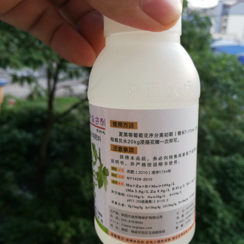 小旺哥 劲娃 壮岁葡萄拉穗剂拉花剂 巨峰夏黑Q拉长花序免人工梳