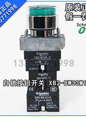 原厂施耐德带灯自锁按钮开关 XB2-BW33M1C+ZB2-BZ21C 220V