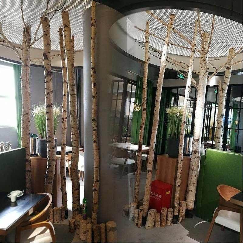白桦树装饰木白i桦树干装饰隔断屏风玄关背景墙橱窗树干白桦树树