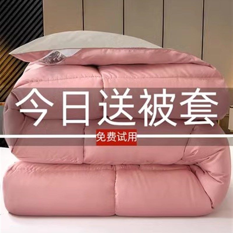 羽绒被95白鹅绒加厚冬被8/10斤春秋G被单双人宿舍被子棉被芯空调