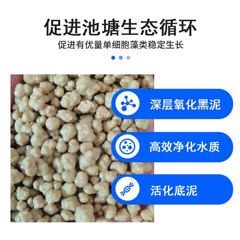 底改王 水产虾蟹鱼养殖池塘净水颗粒 去黑泥除臭W净水分解底改