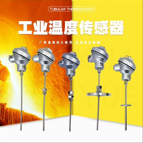 K型铠装热电偶WRNK-131可弯曲温度探头WZPK-231铠装Pt100铂热电阻