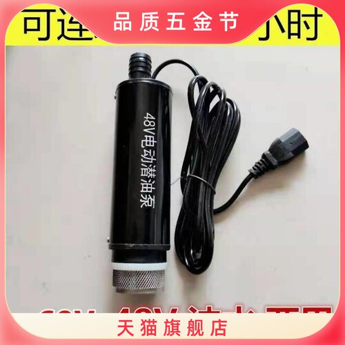 抽油泵柴油48V电车抽水泵60伏三孔插头小型自吸泵72V电动柴油泵