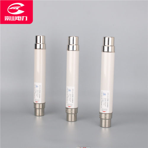 高压限流熔断器XRNT1-10/6.3-16-20-31.5-40A保险丝10KV-12KV熔管