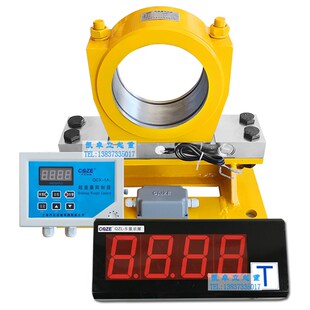 上海乔正QCX 20T 1A型仪表箱显示屏双梁超载起重量限制器5
