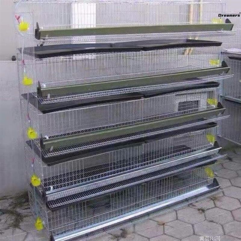 。鹌鹑笼养殖笼立式六层鹌鹑笼自动滚蛋家用鹧鸪养殖笼