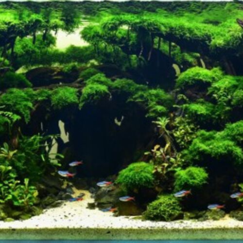 鱼缸造景b一体拼接骨架森林造景30方缸造景35方缸造景60缸以下定