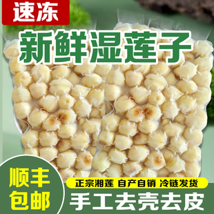 2025新鲜莲子速冻鲜莲子手工剥壳去皮去芯嫩莲子湘莲新鲜生莲子米