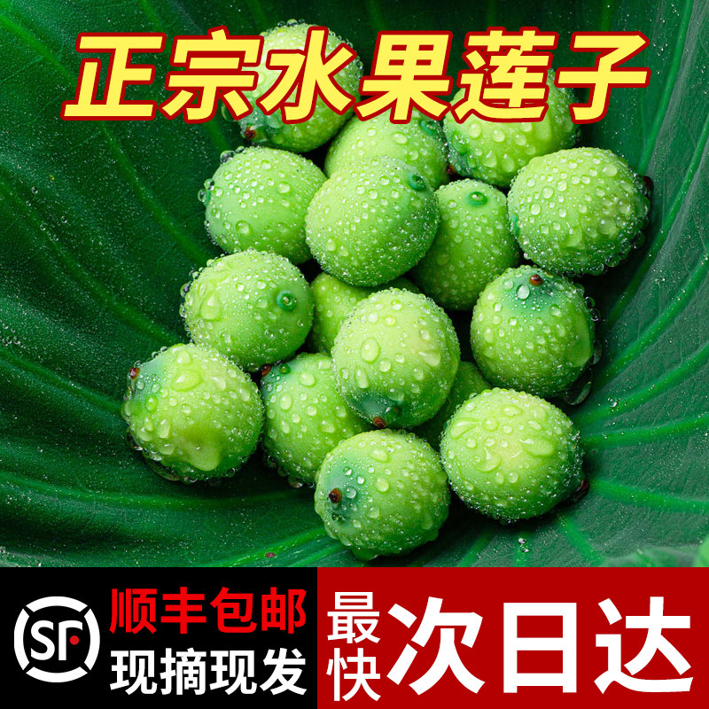 新鲜莲子+生吃水果莲子