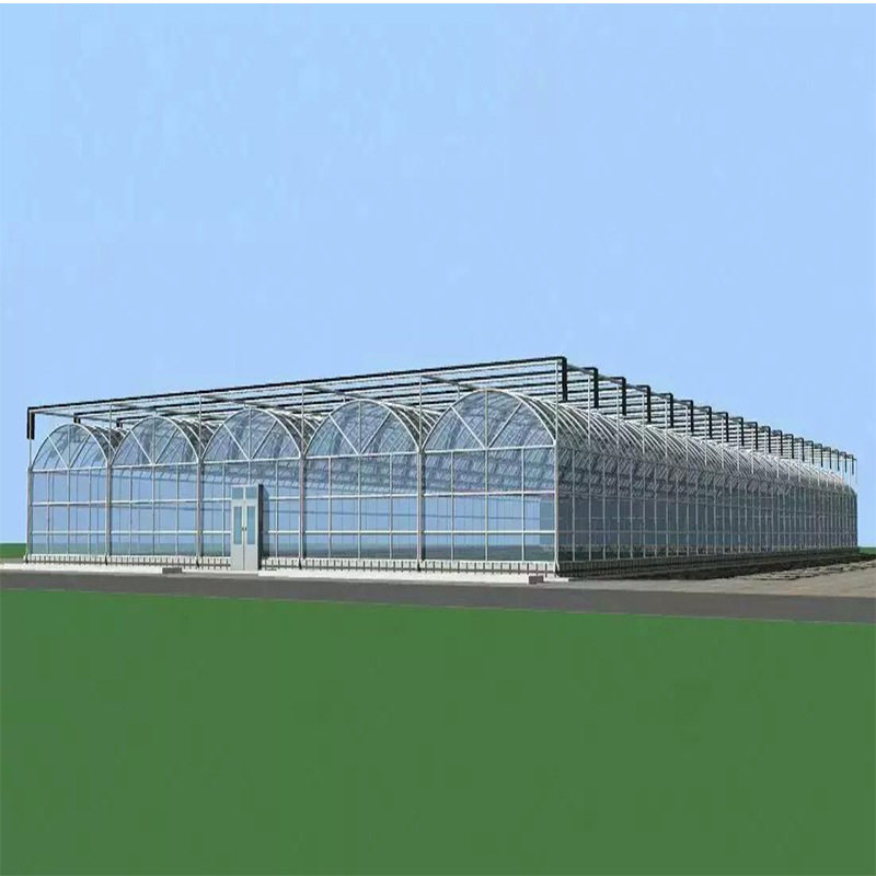 体育馆遮阳遮雨顶棚植物园温室大棚停车棚大型采光工程承接钢构