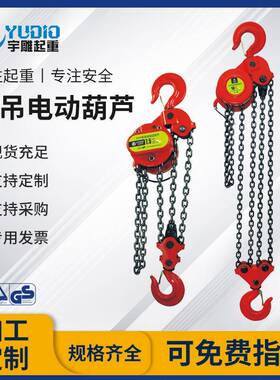 焊宇雕起重DP环链葫芦5t1DHP0T20H吨群吊爬架葫葫芦380V油罐接电