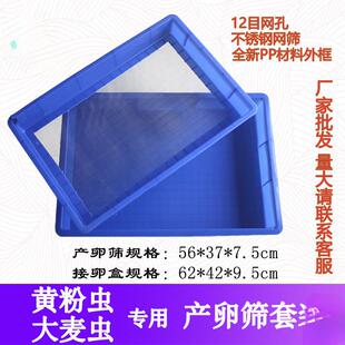 黄粉虫卵筛网养殖盒麦虫繁殖设备箱面包大虫不锈钢虫12345678卵分