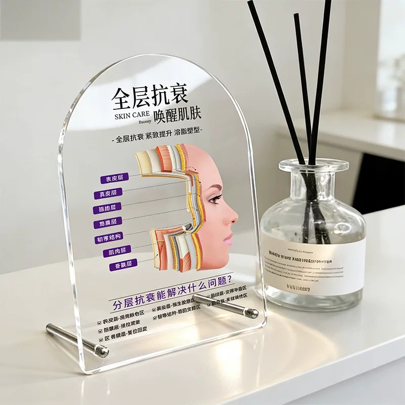 面部皮肤结构分层解剖图立牌