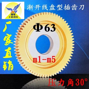 盘形插齿刀 直径分度圆63压力角30 m1-m5渐开线盘型直齿插齿刀