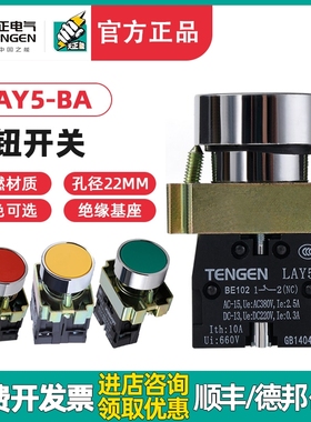 TENGEN天正LAY5按钮BA31 BA42 BA35 BA45 BA55平头自复位按钮开关