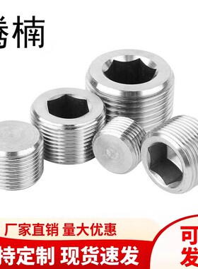 304不锈钢堵头英PT美制NPT内六角外丝堵头316L管堵油塞DIN906螺塞