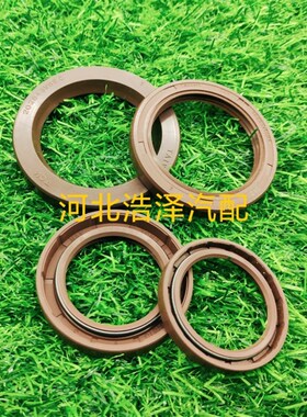 奥盖尔PVG0675TCM131872密封件奥盖尔PVG10030TCM202843专用油封