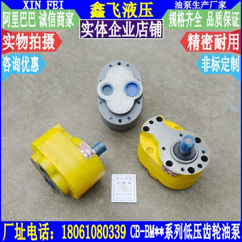 齿轮泵XTCB-B40齿轮油泵XTCB-B50液压泵XTCB-B63润滑油泵 抽油泵