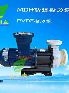 441-0.75KW 452-1.5W 453-2.2KW 553-2.2KW防爆铁氟龙PVDF磁力泵
