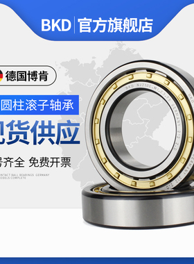 德国BKD进口轴承NJ202EM NJ203EM NJ204EM NJ205EM NJ206EM P5 P4