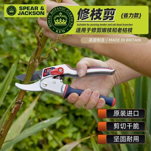 英国进口SPEAR & JACKSON修枝剪园林园艺树枝剪省力花枝果树剪刀