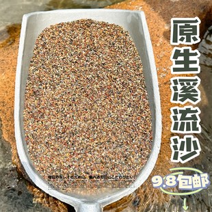 原生缸超细溪流沙造景装饰专用底部砂石子摆件天然雨林沙乌龟鳑鲏