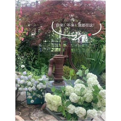 鱼燕牌10水无品牌/0型老水式铸压井头摇泵手动井头幼铁教娱乐园艺