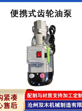 便式齿携轮泵小型电动自抽油泵柴油机油吸齿轮泵小型不锈油YUT钢