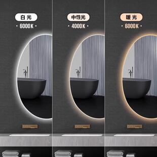 led浴466室镜异形镜卫生间智能梳妆镜子子防挂墙式洗手台灯镜镜雾