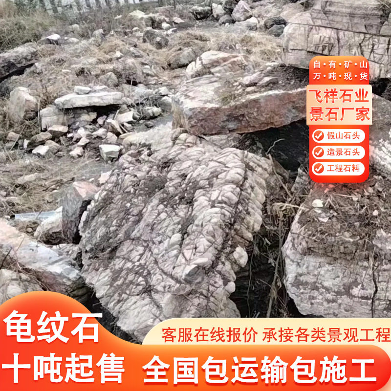 景观石头龟纹石天然原石造景石公园造景景区假山设计施工龟纹石头