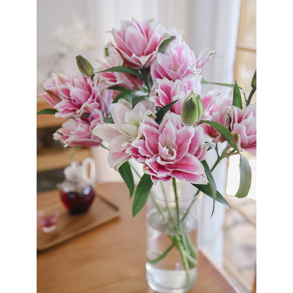 白玫瑰花云南直发重瓣nL5Tae3x百合鲜花顺丰A空运邮级百包合水养