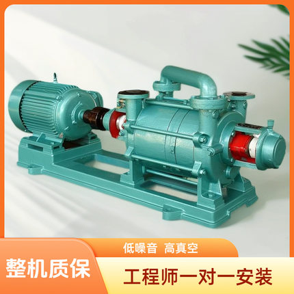 两级水环真空泵 2SK-30 真空泵机组 双级水环式真空泵