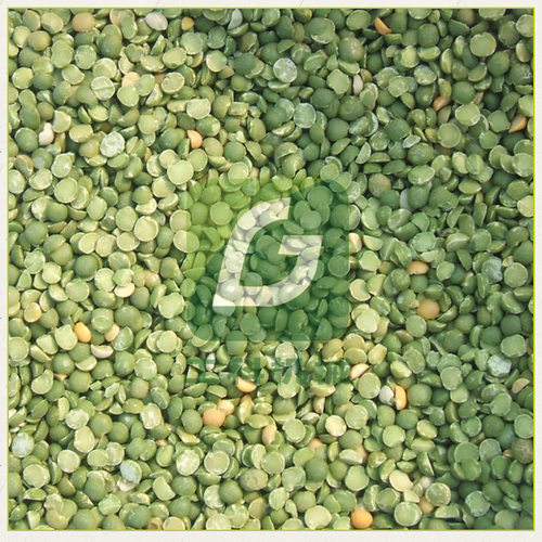 豌豆脱皮机，豌豆仁脱皮抛光机，豌豆脱皮成套流水线