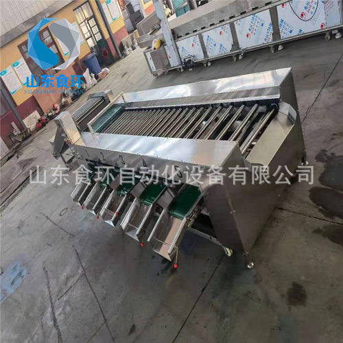 荔枝清洗分级机 桂圆分级机 滚杠式果蔬分级机 分选机 分级机厂家