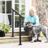 室663台阶扶手室台外阶黑色锻室外扶手门廊安铁全楼外梯栏杆