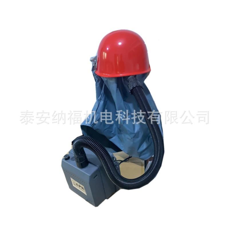 CEEN1化294正压式电动送风P-1000空气1净呼吸器动送风防尘电面罩