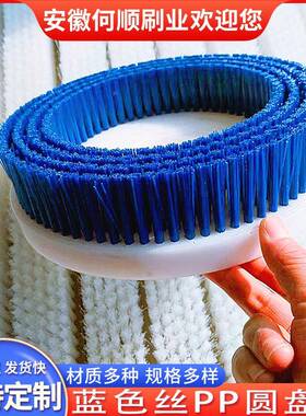安徽何顺刷尼刷业供蓝色丝PP137圆盘龙硬毛直刷盘PVC板植毛除尘刷