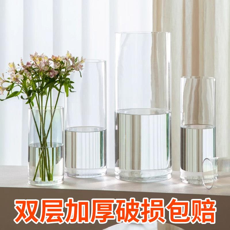 花瓶摆件客厅插花玻璃透明高直筒水培富贵竹水培鲜花高级感醒花桶