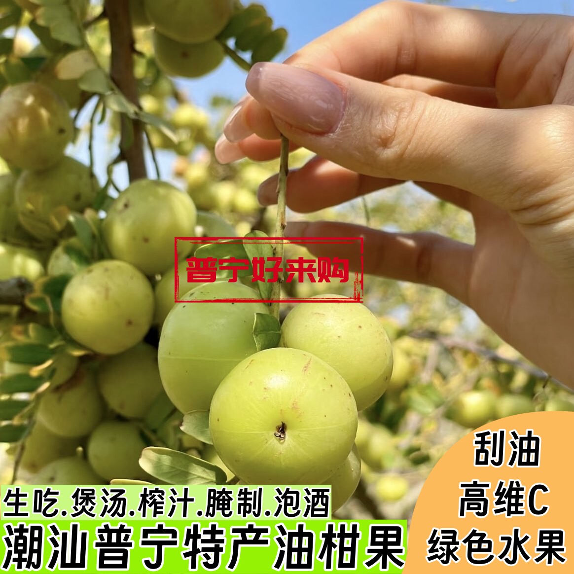 潮汕特产新鲜采摘甜油柑牛甘果 当季水果余甘果余甘子滇橄榄