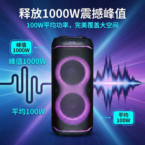 100W1000W峰值DSP芯片双无线麦
