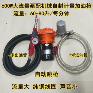 600W大流量电子计量加油泵电动自吸柴油泵组合加油枪12V24V220V