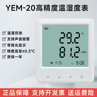宇问高精度温湿度计 露点家用精准 工业用室内空气干湿温度检测仪